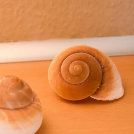 Seestern By Interhome * Норддайх