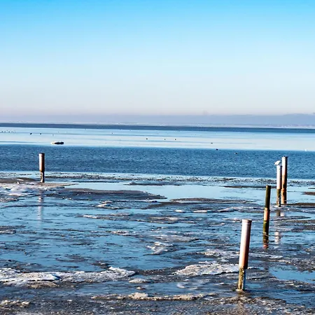 Seestern By Interhome