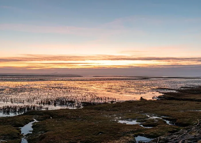 Seestern By Interhome Appartement