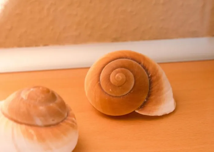 Seestern By Interhome * Norddeich (Norden)