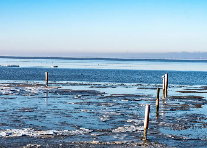 Seestern By Interhome